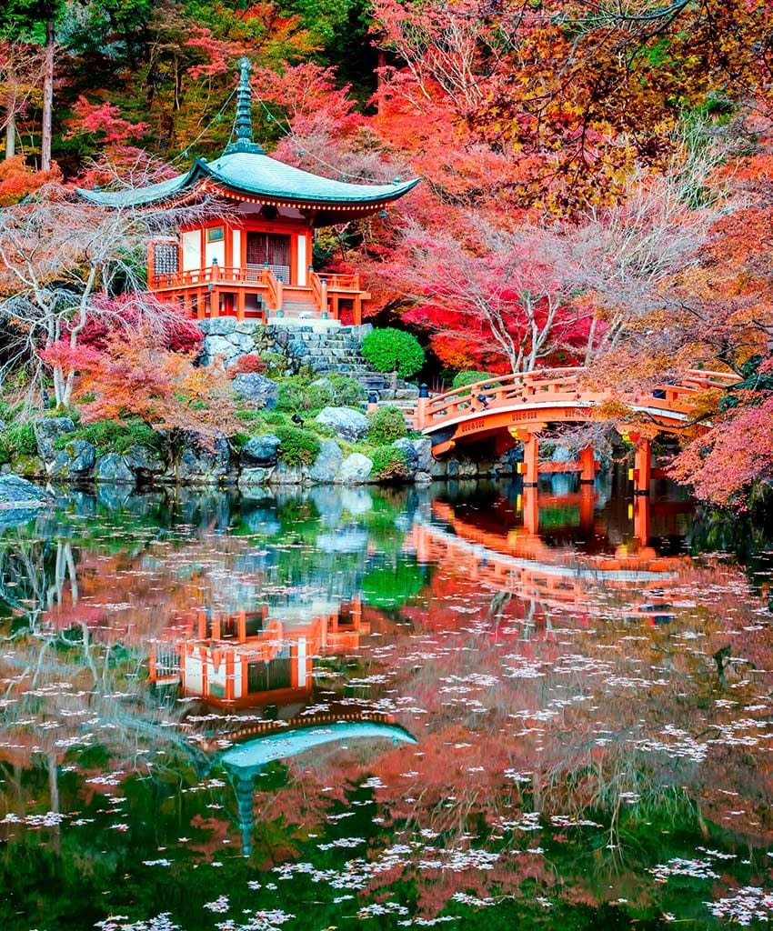 kyoto japon