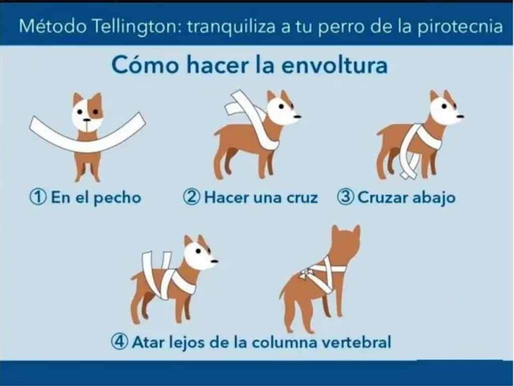 La maniobra de Tellington es una estrategia efectiva para calmar a tu mascota