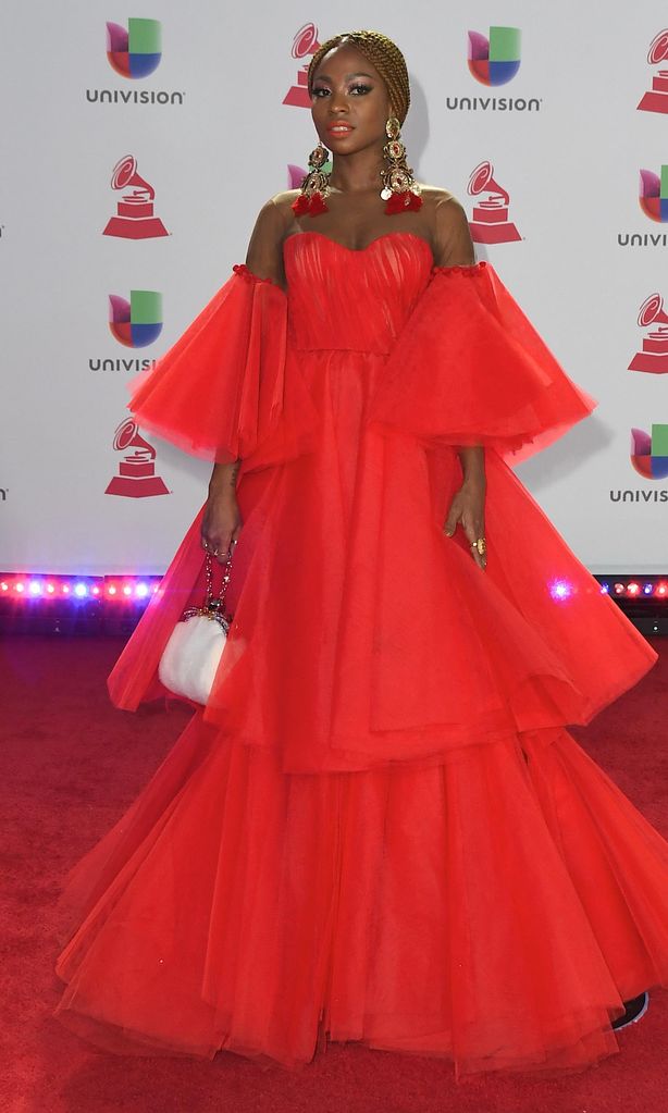 The 19th Annual Latin GRAMMY Awards - Red Carpet