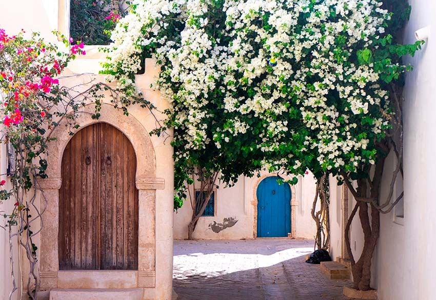 Calle con buganvillas en Houmt Souk, Djerba