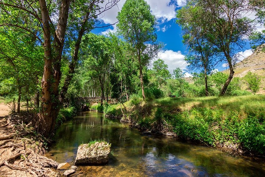 Senda junto al río en Sepúlveda