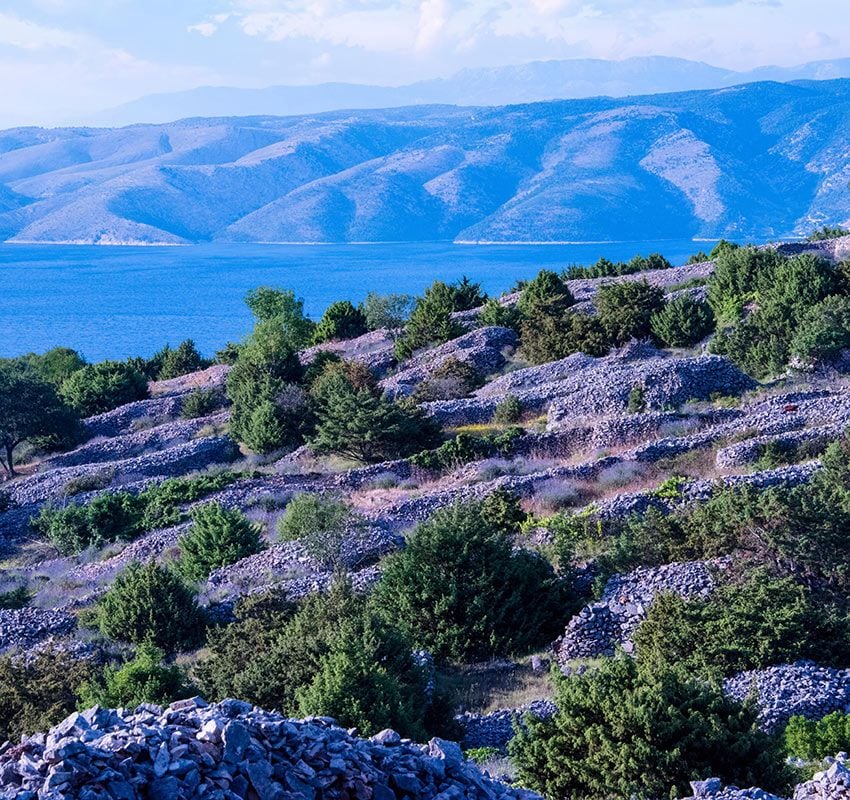 Lavanda, Hvar, Croacia