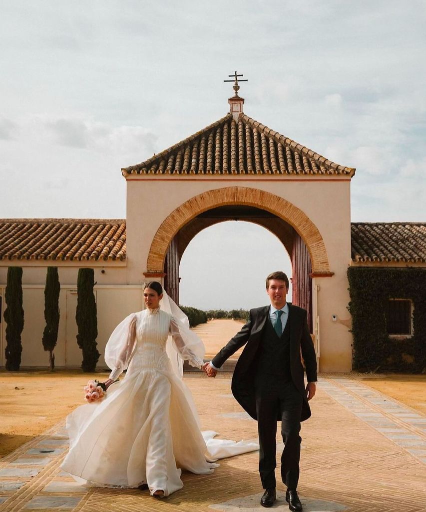 Vestidos de novia virales con manga semitransparente abullonada XL