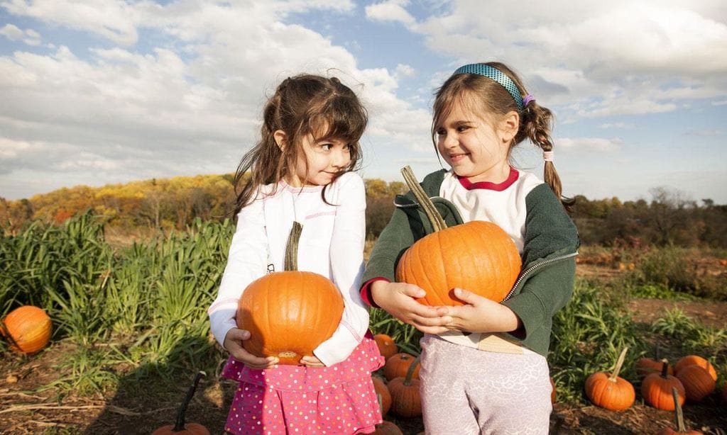 ni as con calabazas