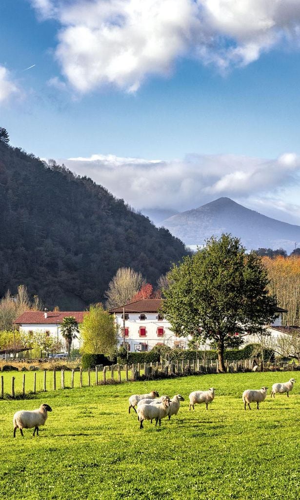 Paisaje del Señorío de Bertiz