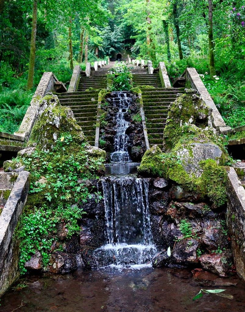 bucaco bosque portugal