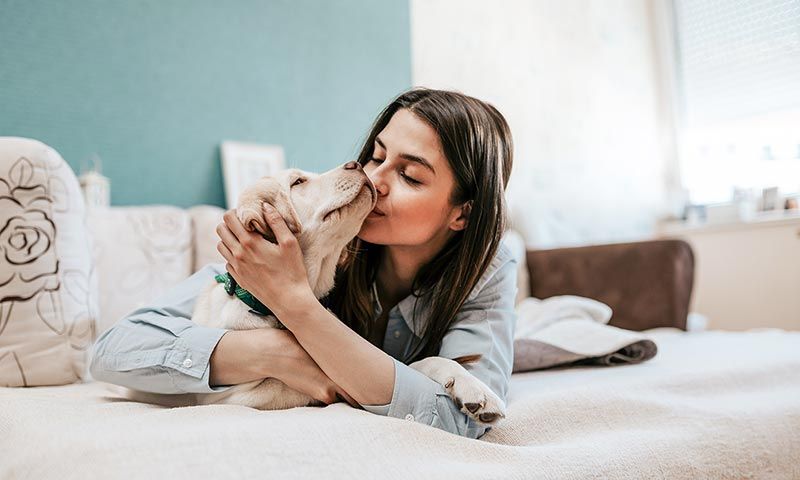 razas de perros cachorros