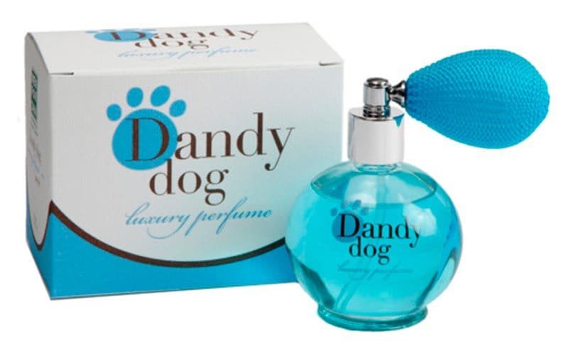 perfume perros