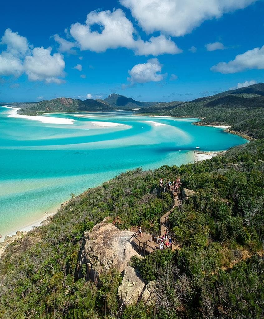 whitehaven island barrera coral