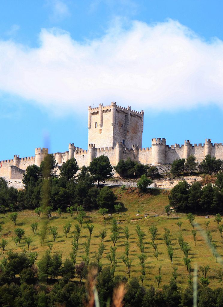 Castillo de Peñafiel, Valladolid