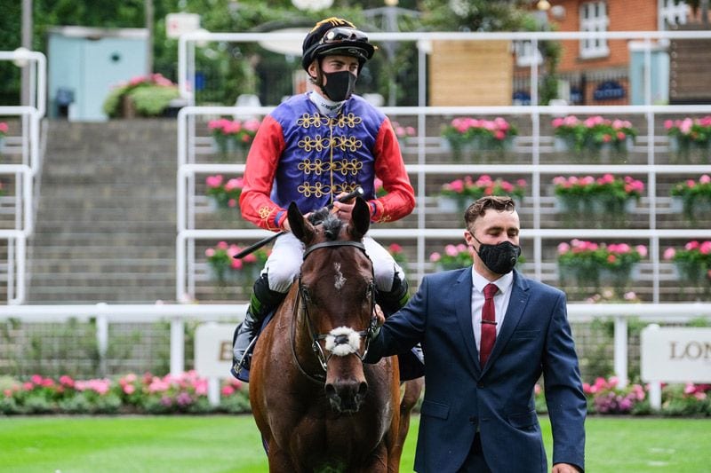 Caballo de carreras de Isabel II 