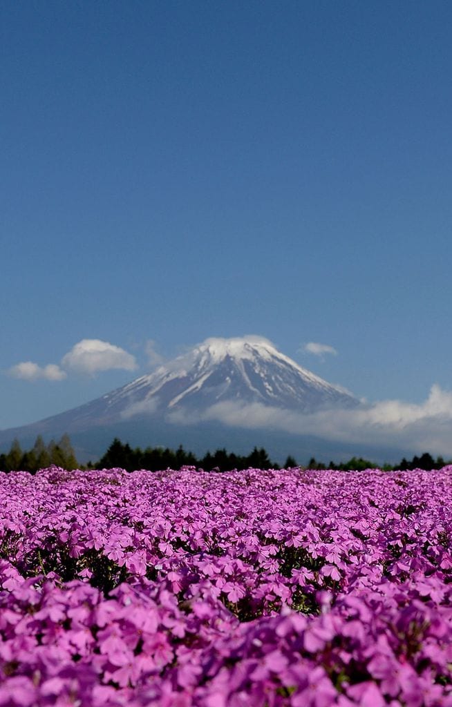 viaje japon 1a