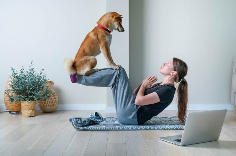 adobestockchica yoga perro