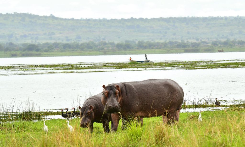 HOVIAJES 2125 UGANDA, ÁFRICA