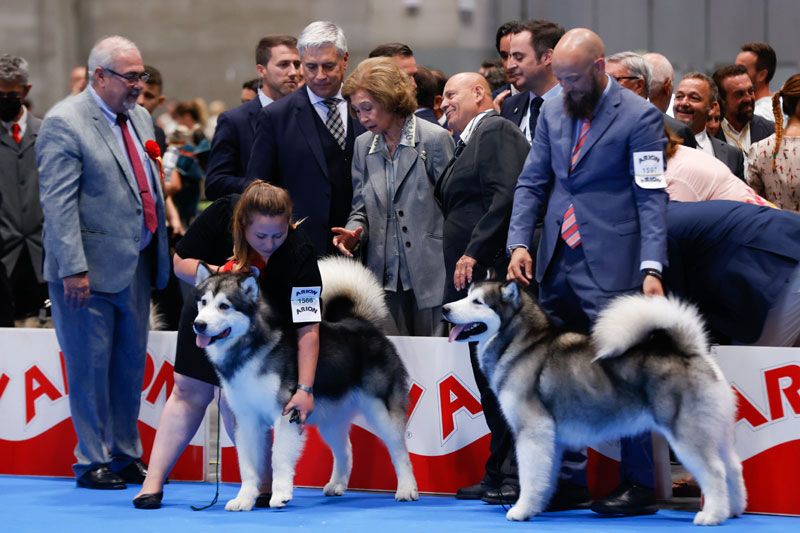 Doña Sofía demuestra de nuevo su amor por los perros