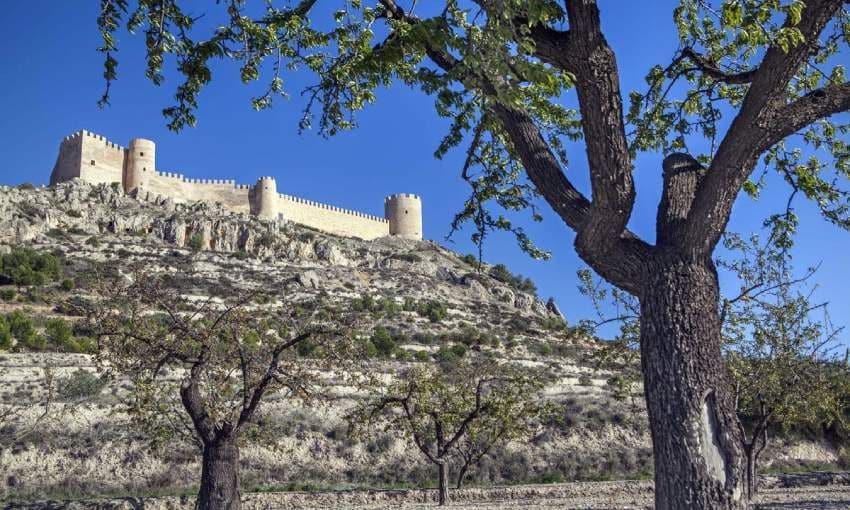 castillo de castalla en la ruta de los castillos de vinalop alicante