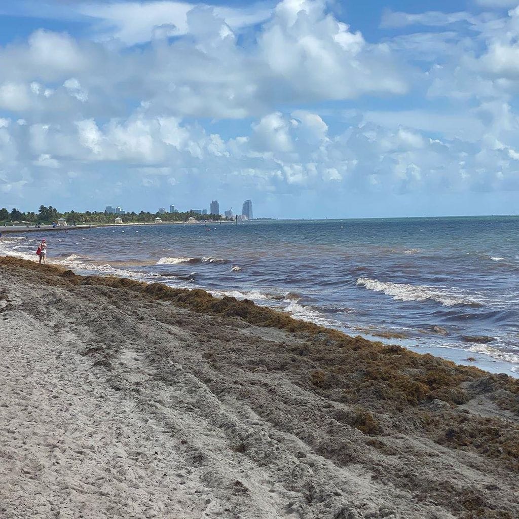 ra l de molina en la playa