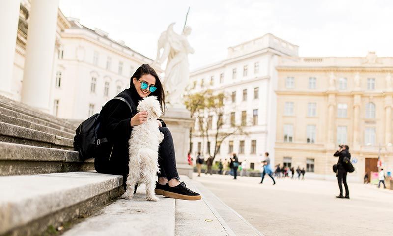 destinos para viajar con tu mascotas vienna