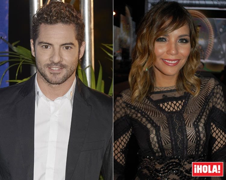 La actriz venezolana Rosanna Zanetti es la nueva pareja del cantante David Bisbal (Fotos y producción: Víctor Goncalves)
