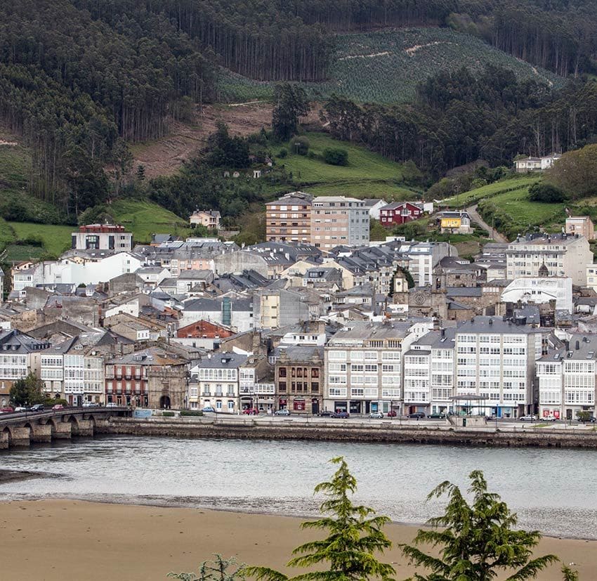 viveiro