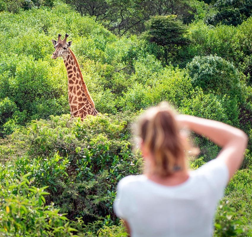 Cómo hacer una safari diferente en Tanzania: Parque Nacional de Arusha