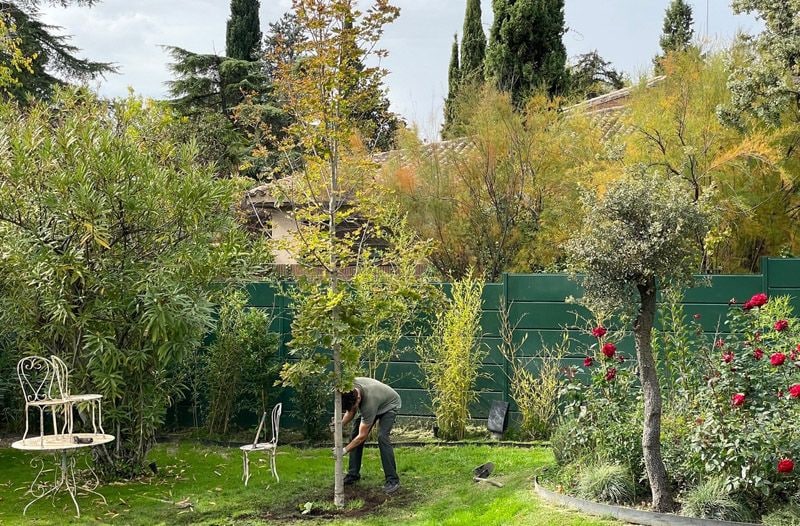 tareas jardin otoño hola decoracion 07