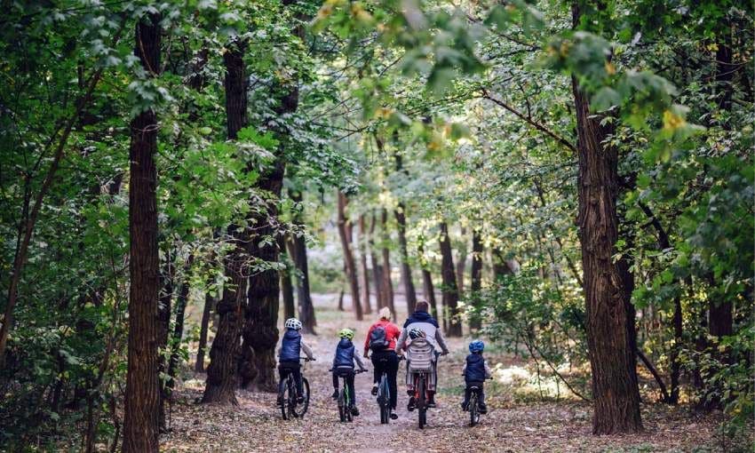 familia en bici en un bosque de madrid