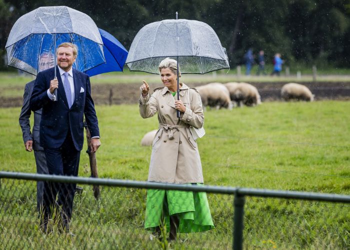 Máxima de los Países Bajos y el rey Guillermo Alejandro