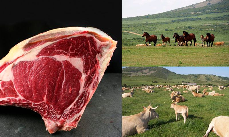 carne ecoloica venta online finca sarbil