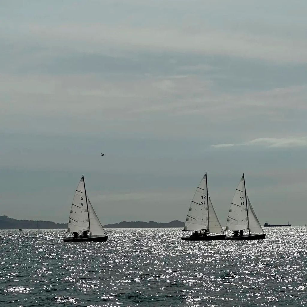 Los alumnos de la Escuela Naval de Marín navegando por la Ría de Pontevedra, septiembre 2024