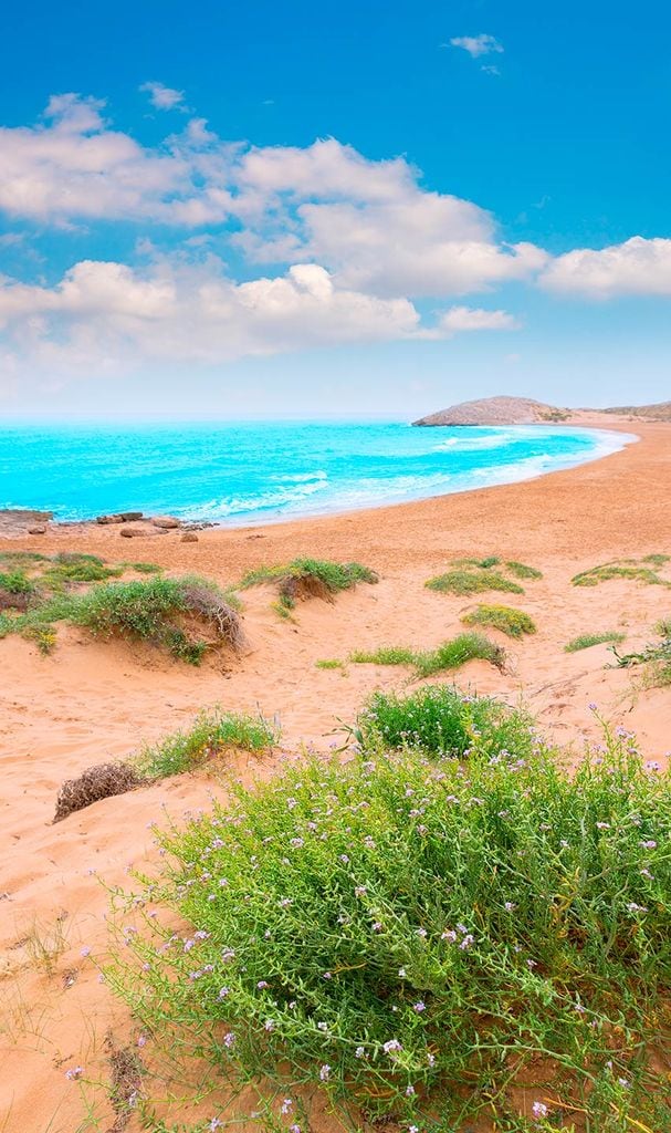 Playas de Calblanque (Murcia)