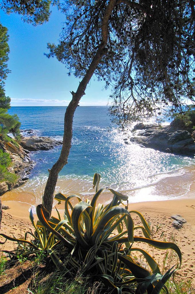 Cala en el entorno de Cap Roig