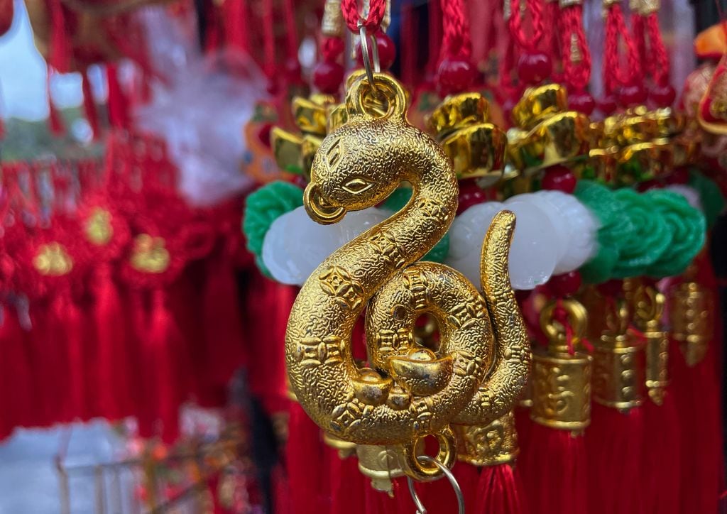 Chinese New Year of Snake 2025