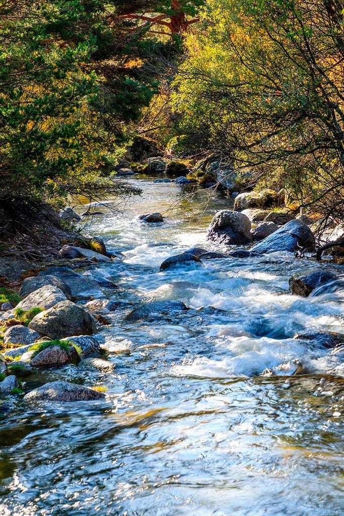 rio-la-pedriza