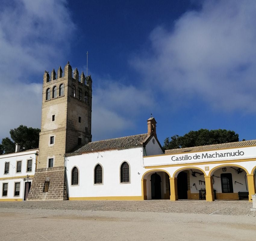 Castillo de Macharnudo, Bodegas Fundador, Jerez de la Frontera, Cádiz