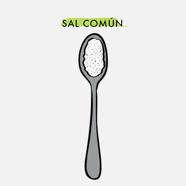 tipos-sal-gourmet-comun