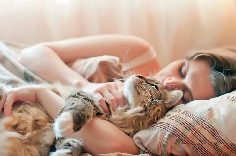 05 consejos dormir mejor gatos