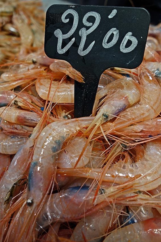 Quisquillas en el mercado de San Agustín de Motril