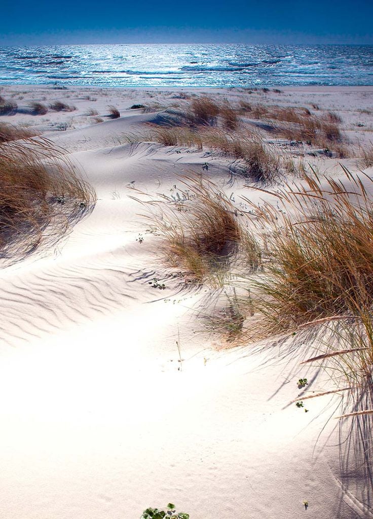 sao jacinto duna portugal