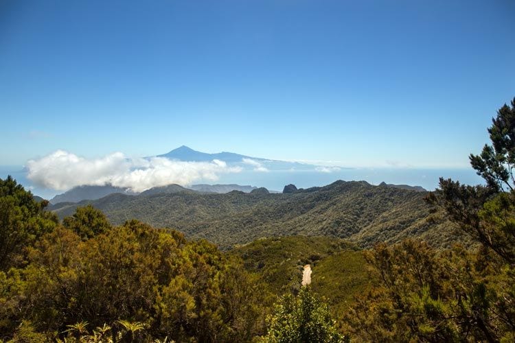 gomera-primavera