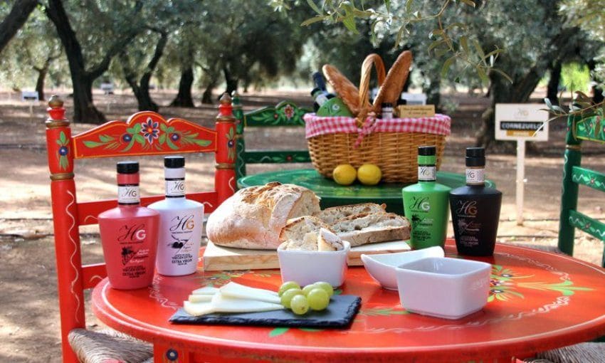 Picnic en Hacienda Guzmán.