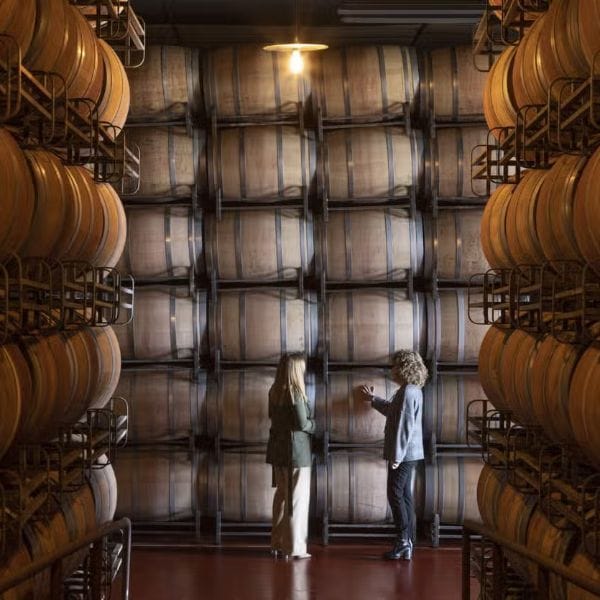 Visita a las bodegas Marqués de Cáceres La Rioja Civitatis