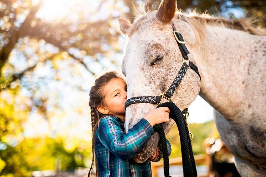 10 animales recomendados como mascotas para ninos