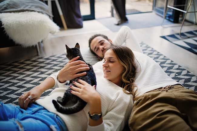 Tu pareja tiene gato: claves para aprender a amarlos