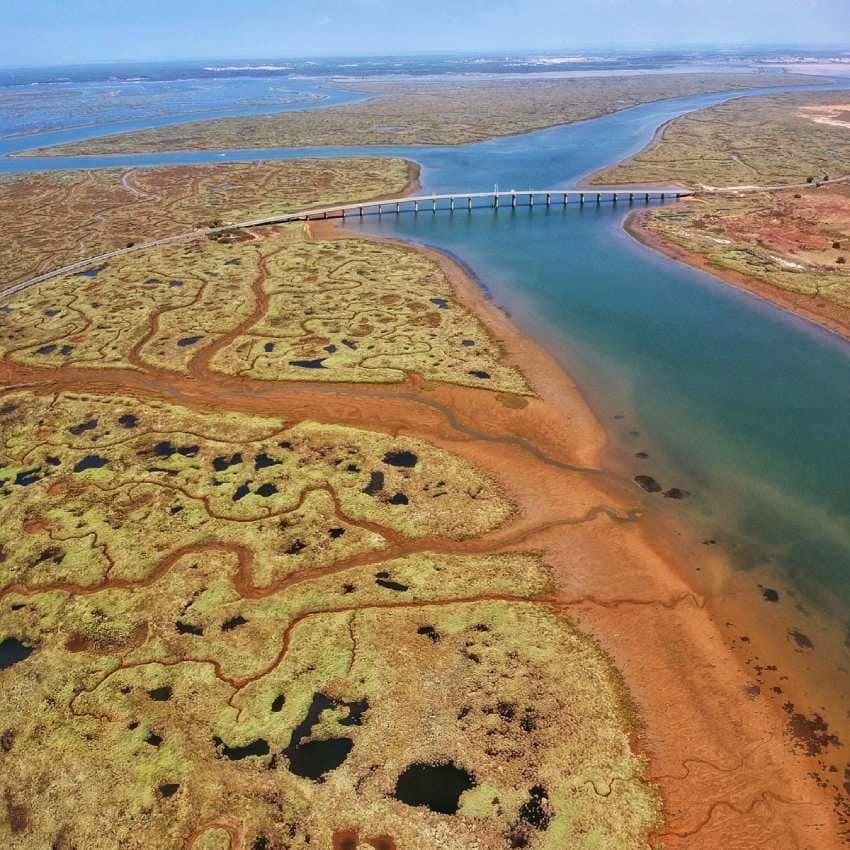 marismas del odiel huelva