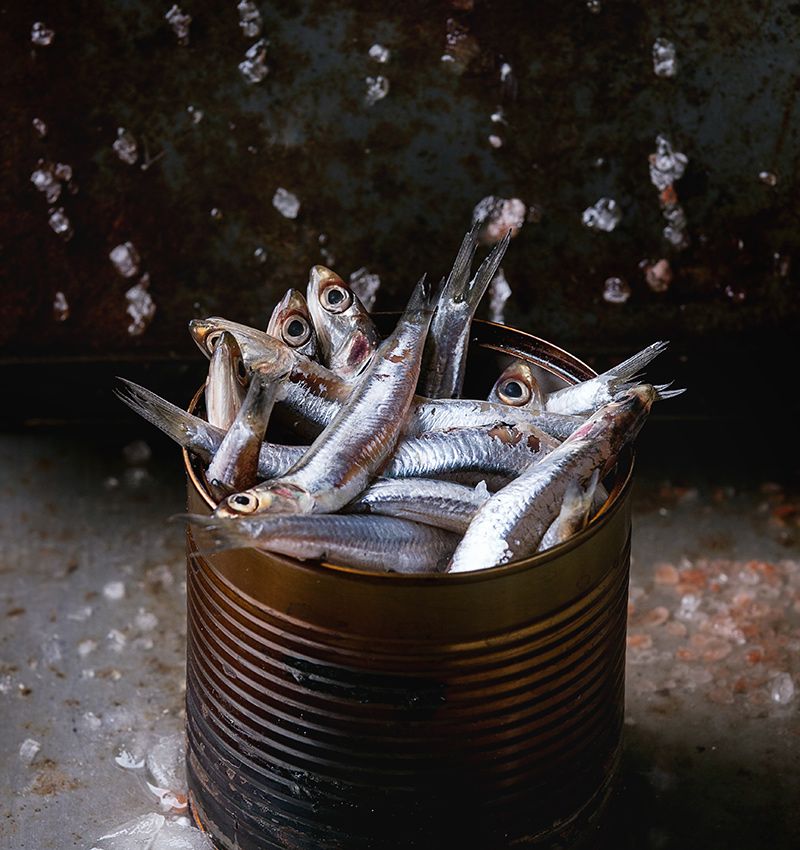 interior sardinas frescas adobe