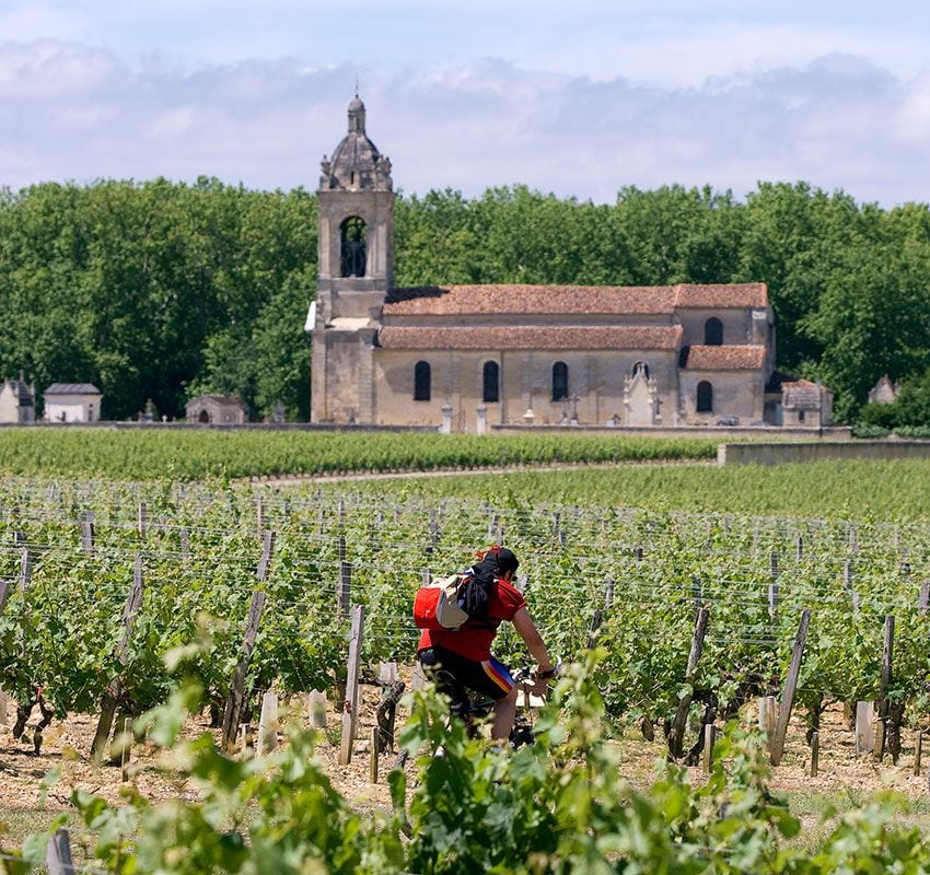 Ciclistas entre viñedos en la iglesia de Margaux, Francia