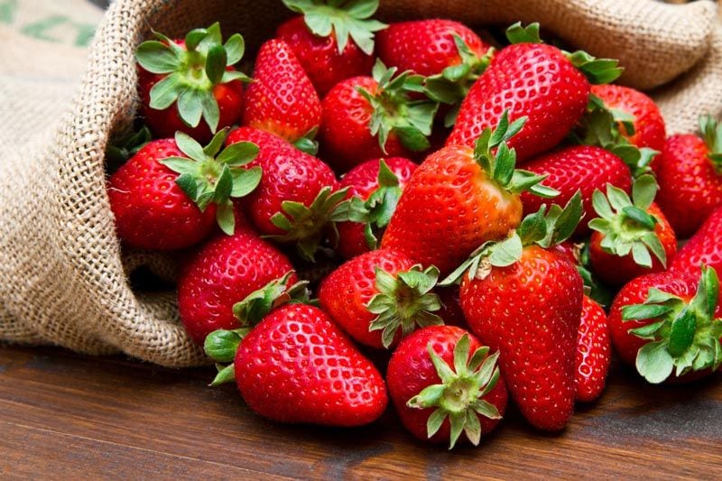 fresas