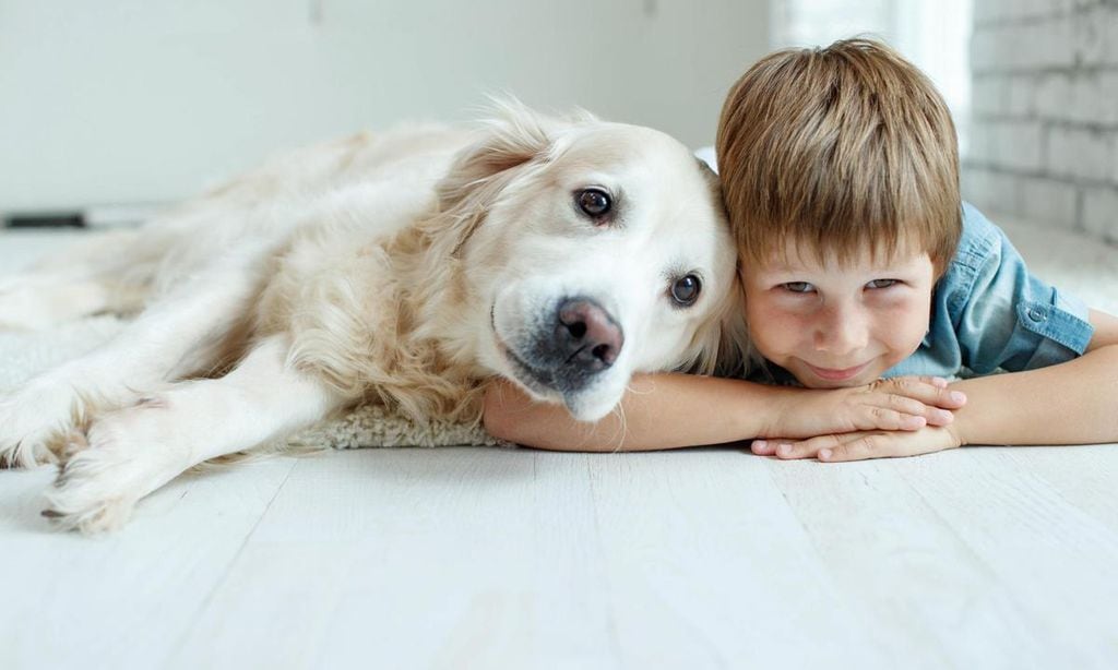 ni o y perro inseparables