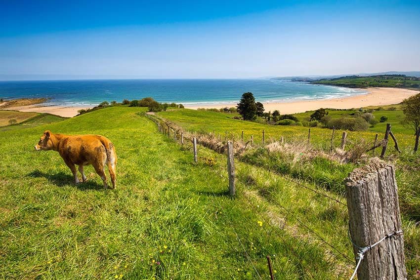 Playa de Oyambre, Cantabria